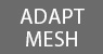 Adapt Mesh