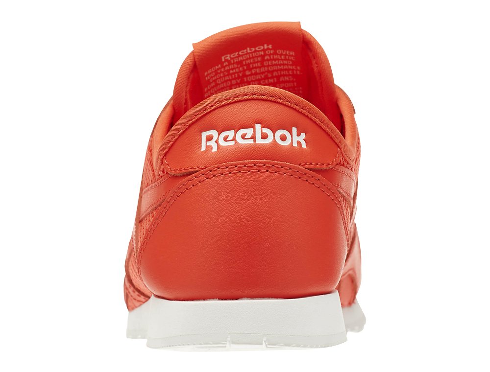buty reebok classic leather nylon slim mesh (v71882) buty reebok classic leather nylon slim mesh (v71882)