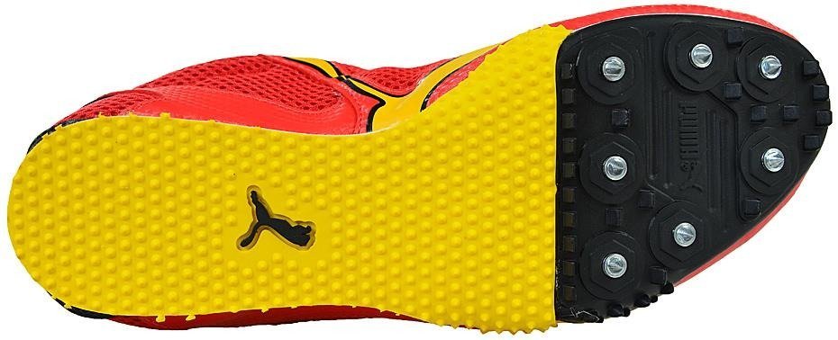 buty kolce complete tfx star high risk buty kolce complete tfx star high risk