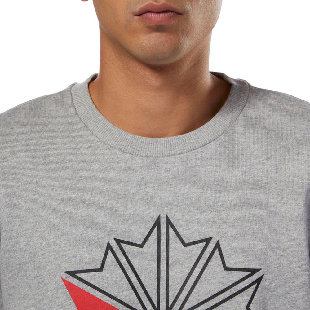 bluza reebok ac ft big starcrest (dm5160) bluza reebok ac ft big starcrest (dm5160)