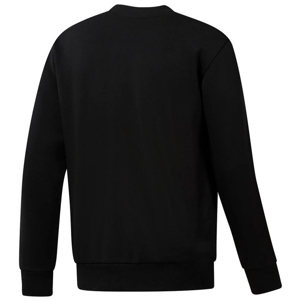 bluza reebok ac ft big starcrest (dm5161) bluza reebok ac ft big starcrest (dm5161)