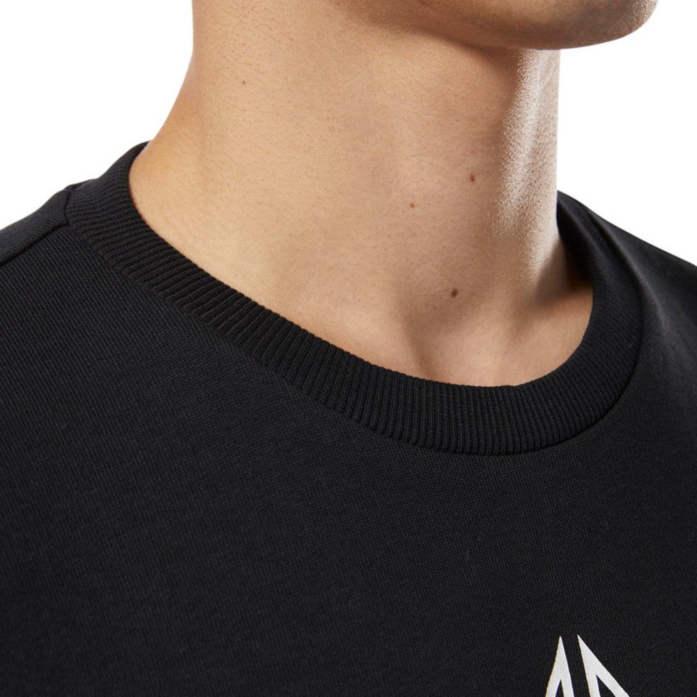 bluza reebok ac ft big starcrest (dm5161) bluza reebok ac ft big starcrest (dm5161)