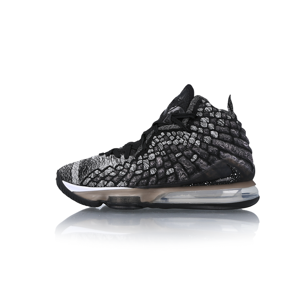 the lebron 17