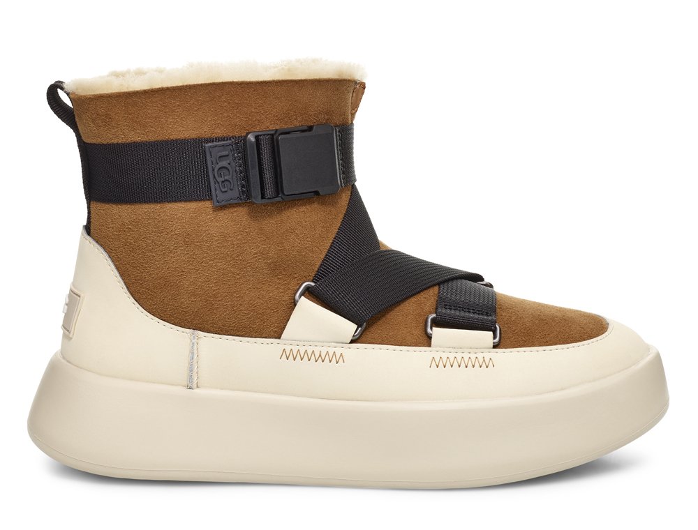 ugg w classic boom buckle damskie brązowe (1104616-che) ugg w classic boom buckle damskie brązowe (1104616-che)
