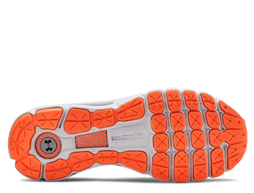 under armour hovr infinite w szaro-niebieskie under armour hovr infinite w szaro-niebieskie