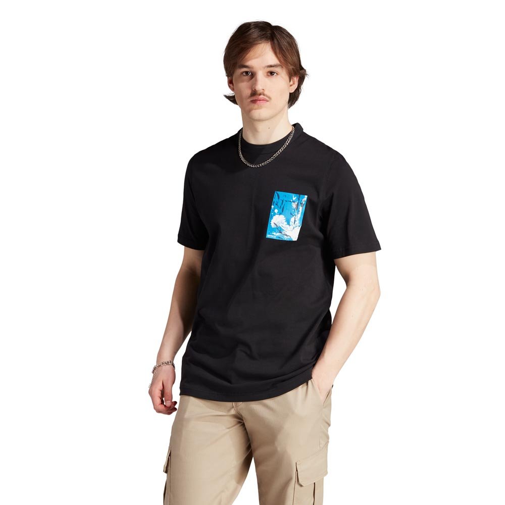 adidas adventure graphic tee