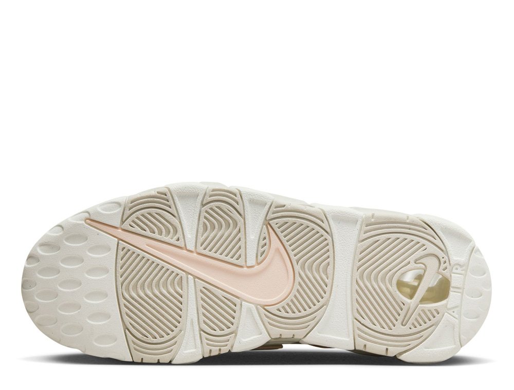 Nike Air More Uptempo Gray [DV1137-101] - skstore.eu