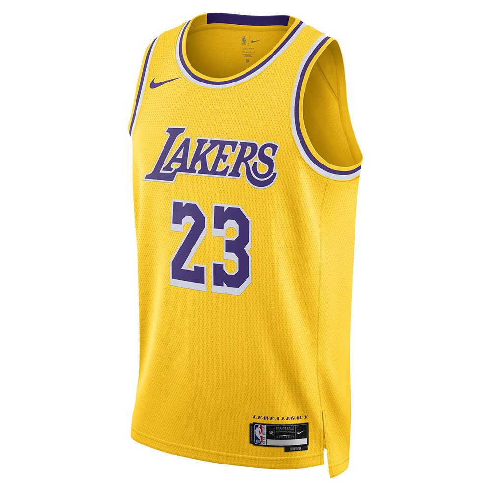 Buy Nike Men Purple Los Angeles Lakers LeBron James SWGMN