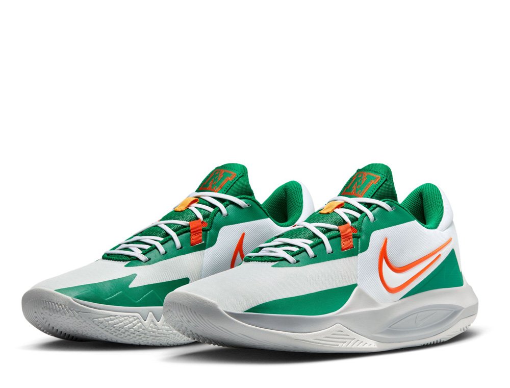 Nike Precision Multicolor shoes