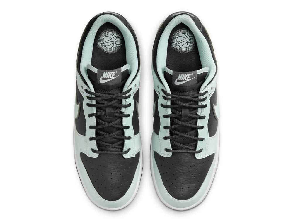 Nike Dunk Low Retro Premium Multicolor shoes [FZ1670-001