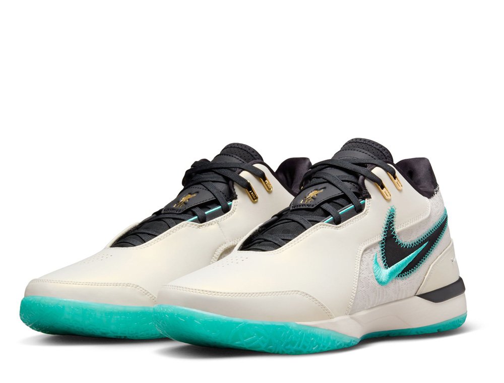 ナイキ ズームレブロン NXXT GEN AMPD EP NIKE ZOOM LEBRON NXXT GEN AMPD EP ナイキ ズーム レブロン