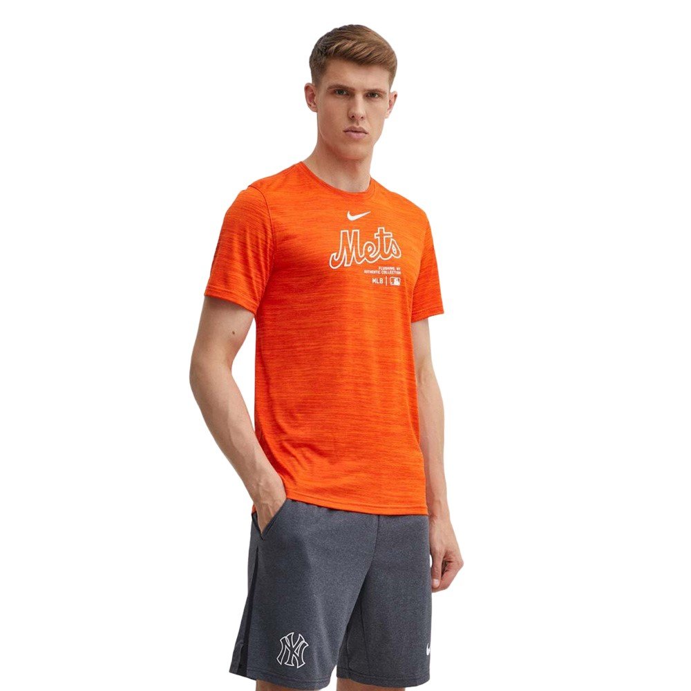 Nike Dri-FIT MLB New York Mets Authentic Collection Practice