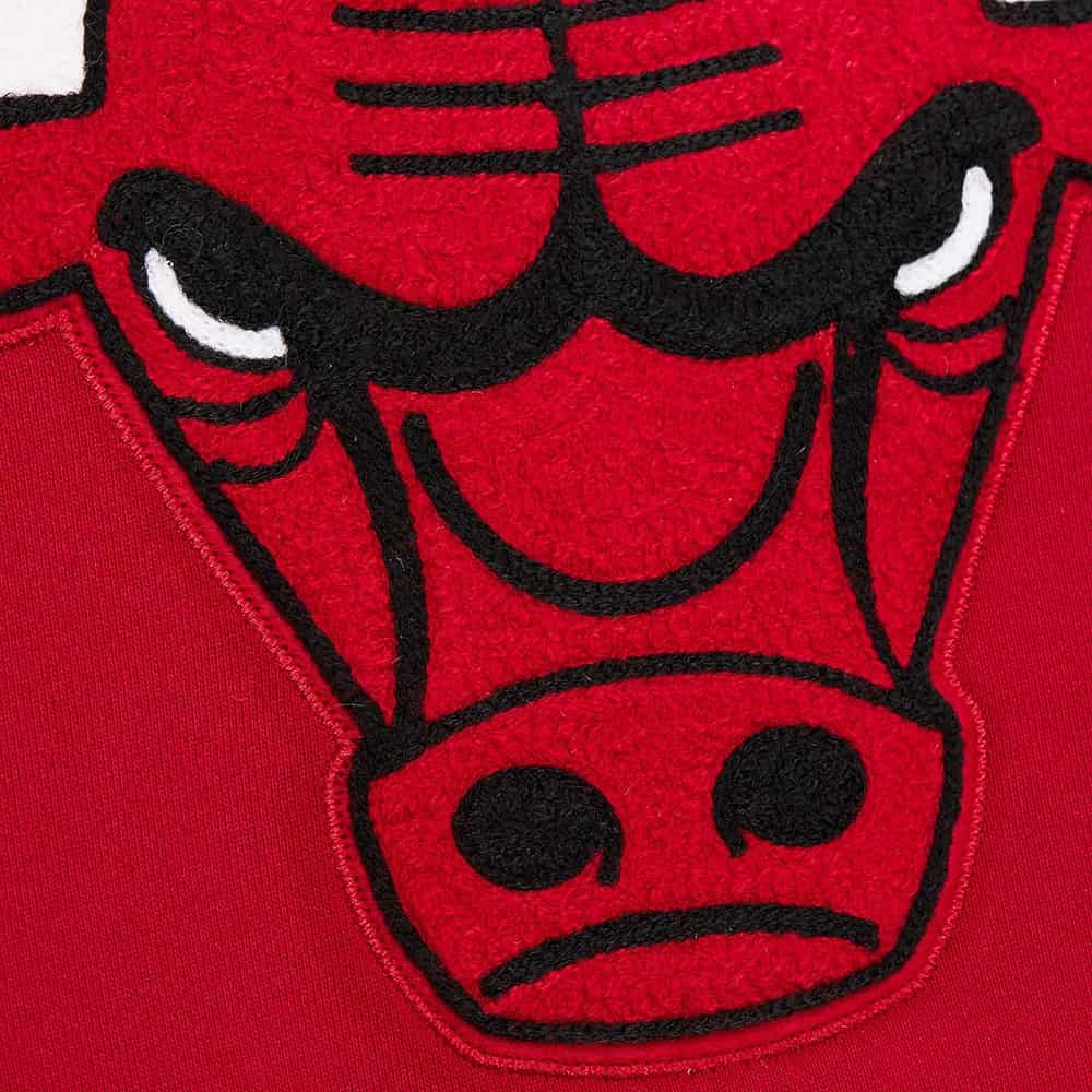 Men's Scarlet Chicago Bulls Team OG 2.0 Vintage Logo Fleece