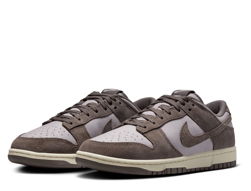 Nike Dunk Low Retro SE Shoes Brown [FQ8249-001]