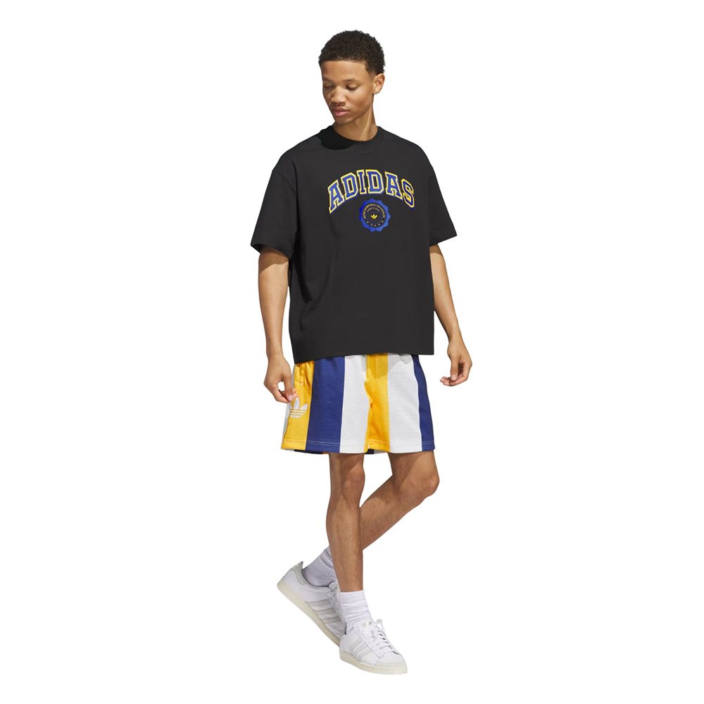 adidas Summer Of Sport Basketball Shorts Multicolor [JD5187