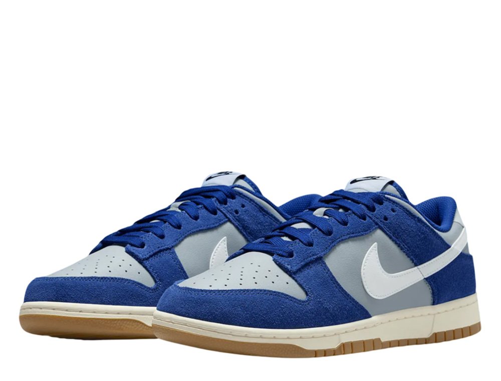 Nike Dunk Low Retro SE Shoes Blue