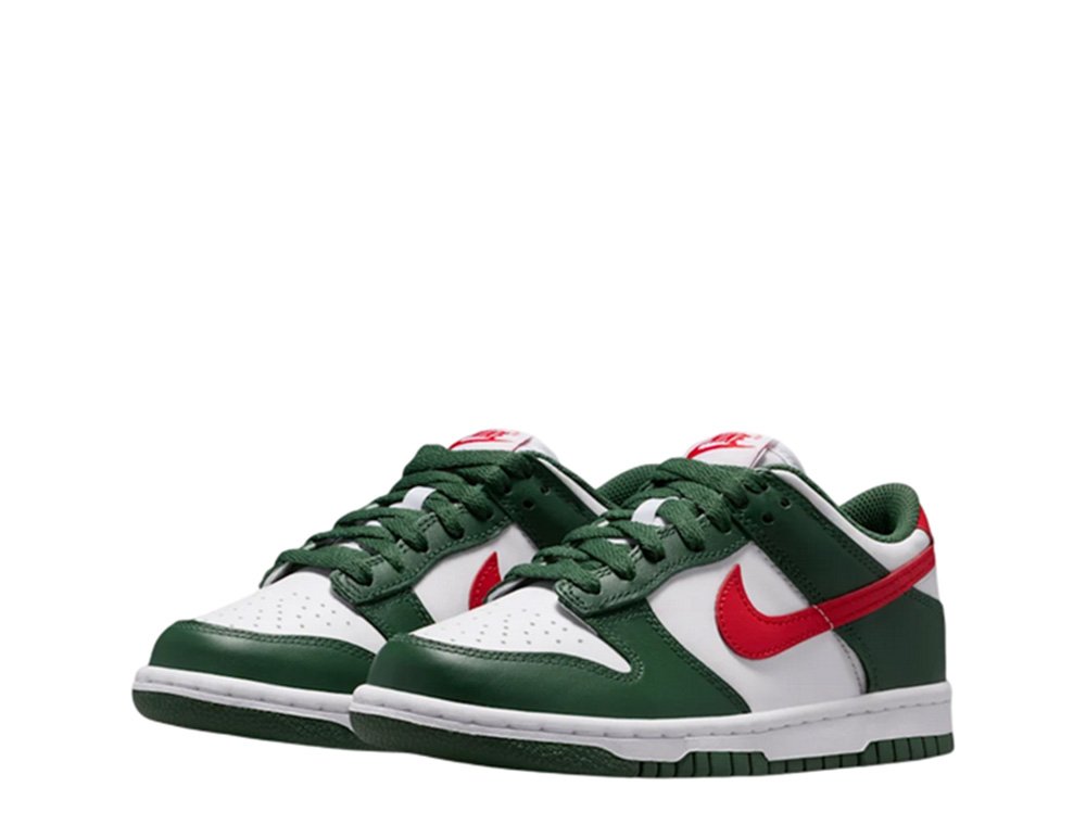 nfl nike dunks
