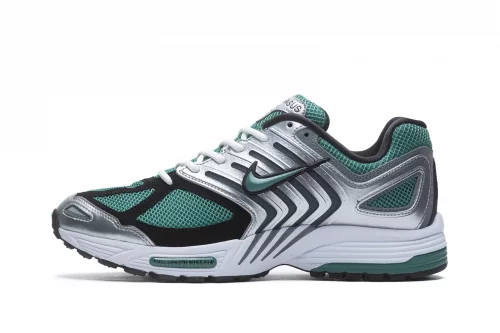 nike-air-peg-2k5-bicoastal-