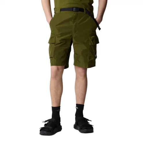 Shorts The North Face NSE Cargo Short 'Forest Olive