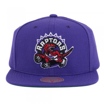 Mitchell & Ness Team Ground 2.0 Stretch Snapback HWC Hornets- Basketball  Store