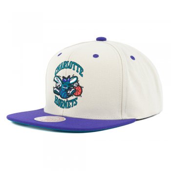 Team Ground 2.0 Snapback HWC Charlotte Hornets  