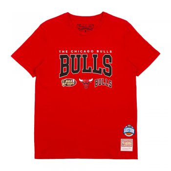 Mitchell & Ness Men's Chicago Bulls Champ City Hoodie - Red - M