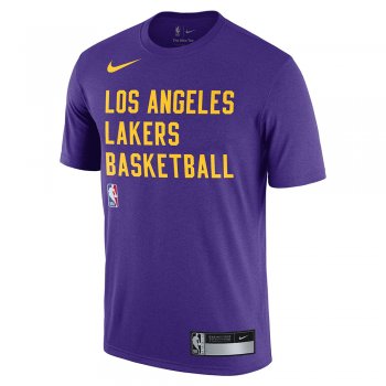 Buy Nike Men Purple Los Angeles Lakers LeBron James SWGMN Basketball Jersey  - Tshirts for Men 8233863