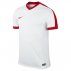 koszulka nike striker iv (725974-101) koszulka nike striker iv (725974-101)