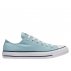 converse chuck taylor all star (c160460) converse chuck taylor all star (c160460)