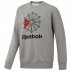 bluza reebok ac ft big starcrest (dm5160) bluza reebok ac ft big starcrest (dm5160)