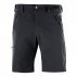 salomon wayfarer short męskie grafitowe salomon wayfarer short męskie grafitowe