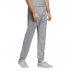 spodnie adidas trefoil (dv1540) spodnie adidas trefoil (dv1540)