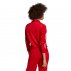 firebird tt scarle firebird tt scarle