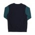 champion colour block kangaroo pocket reverse weave sweatshirt (214049-bs501) champion colour block kangaroo pocket reverse weave sweatshirt (214049-bs501)