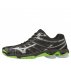 mizuno wave voltage mizuno wave voltage
