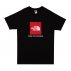 koszulka the north face raglan red box tee (t93bqojk3) koszulka the north face raglan red box tee (t93bqojk3)