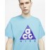 nike acg gigant logo tee (cv1532-450) nike acg gigant logo tee (cv1532-450)