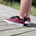 Buty męskie Vans Atwood Canvas Bordowe