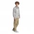 Bluza męska adidas Adicolor Classics Trefoil Crewneck Szara
