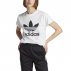 Koszulka damska adidas Adicolor Classics Trefoil Tee Biała