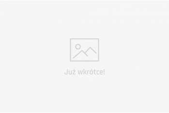 Koszulka adidas FC Bayern Monachium Icons Retro LS (DX9225)